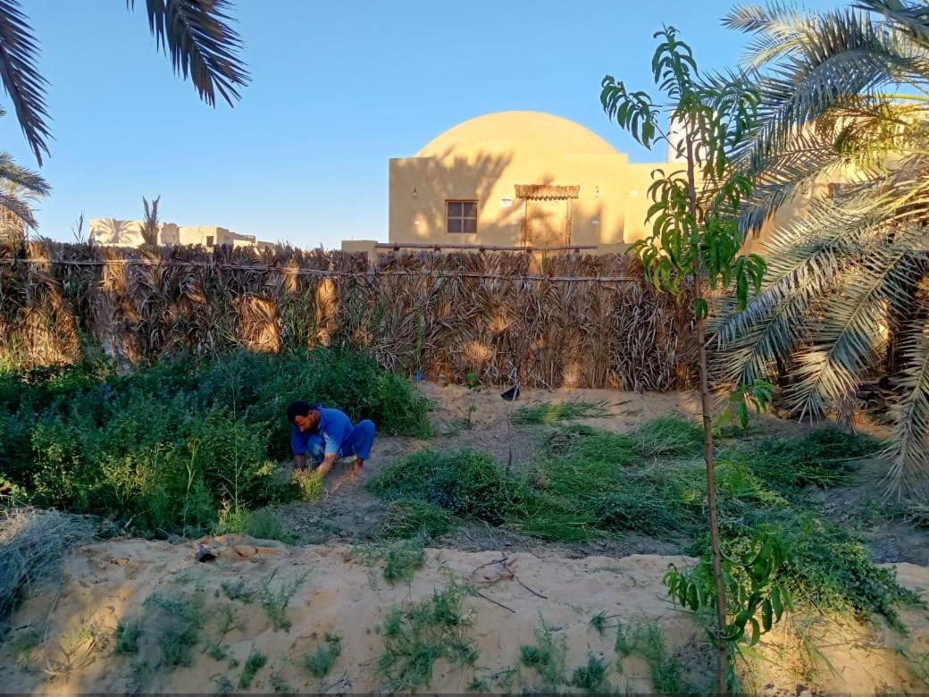 Wafla Villa Siwa Oasis Exterior photo