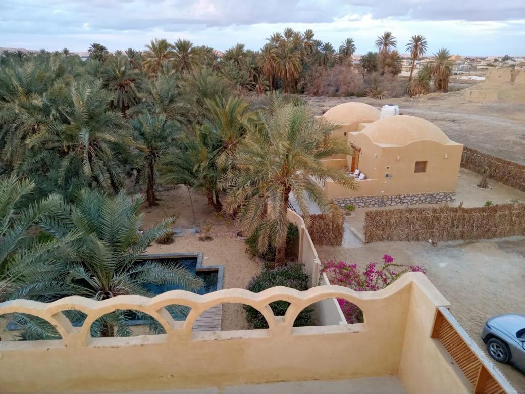 Wafla Villa Siwa Oasis Exterior photo