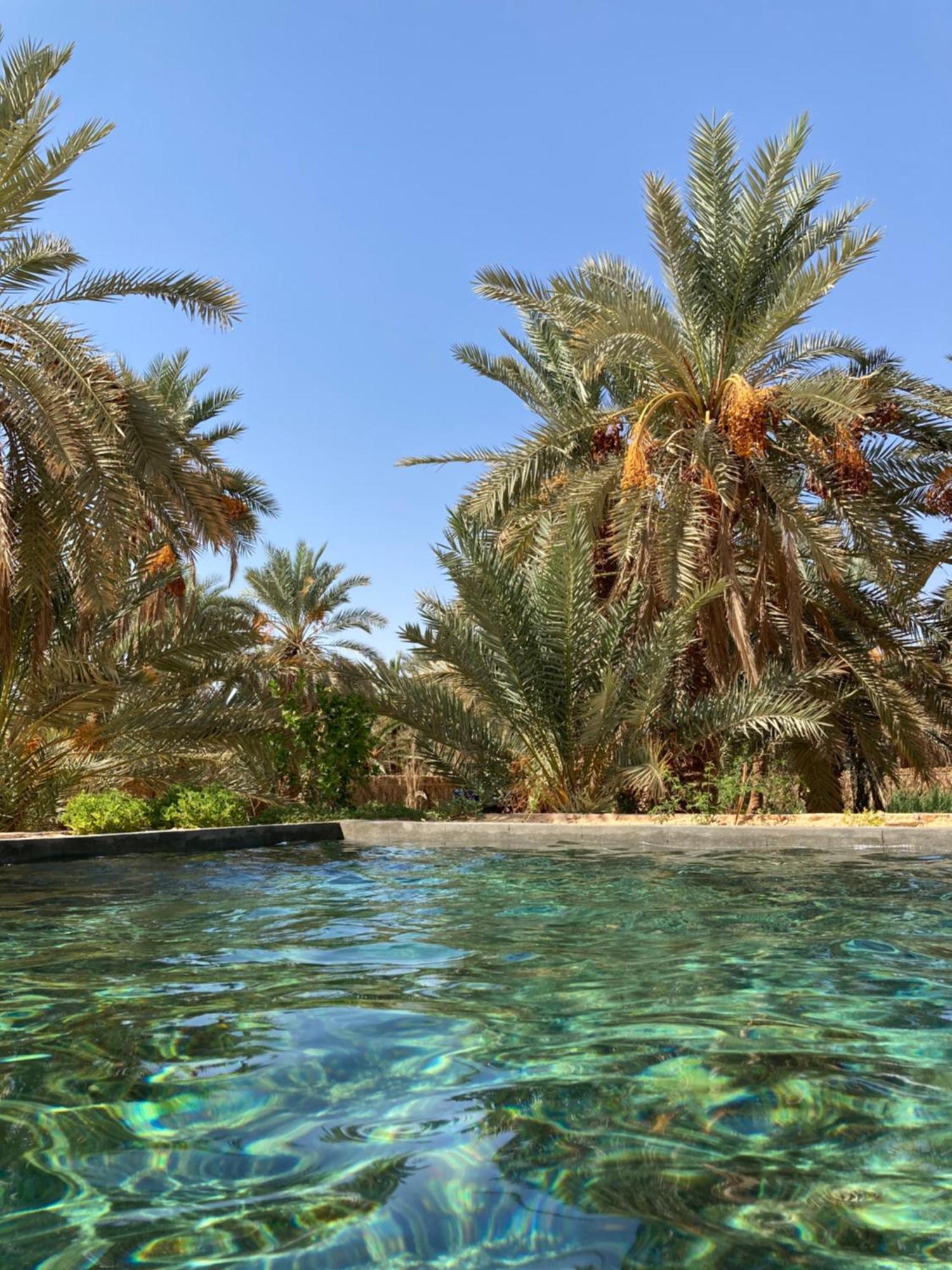 Wafla Villa Siwa Oasis Exterior photo