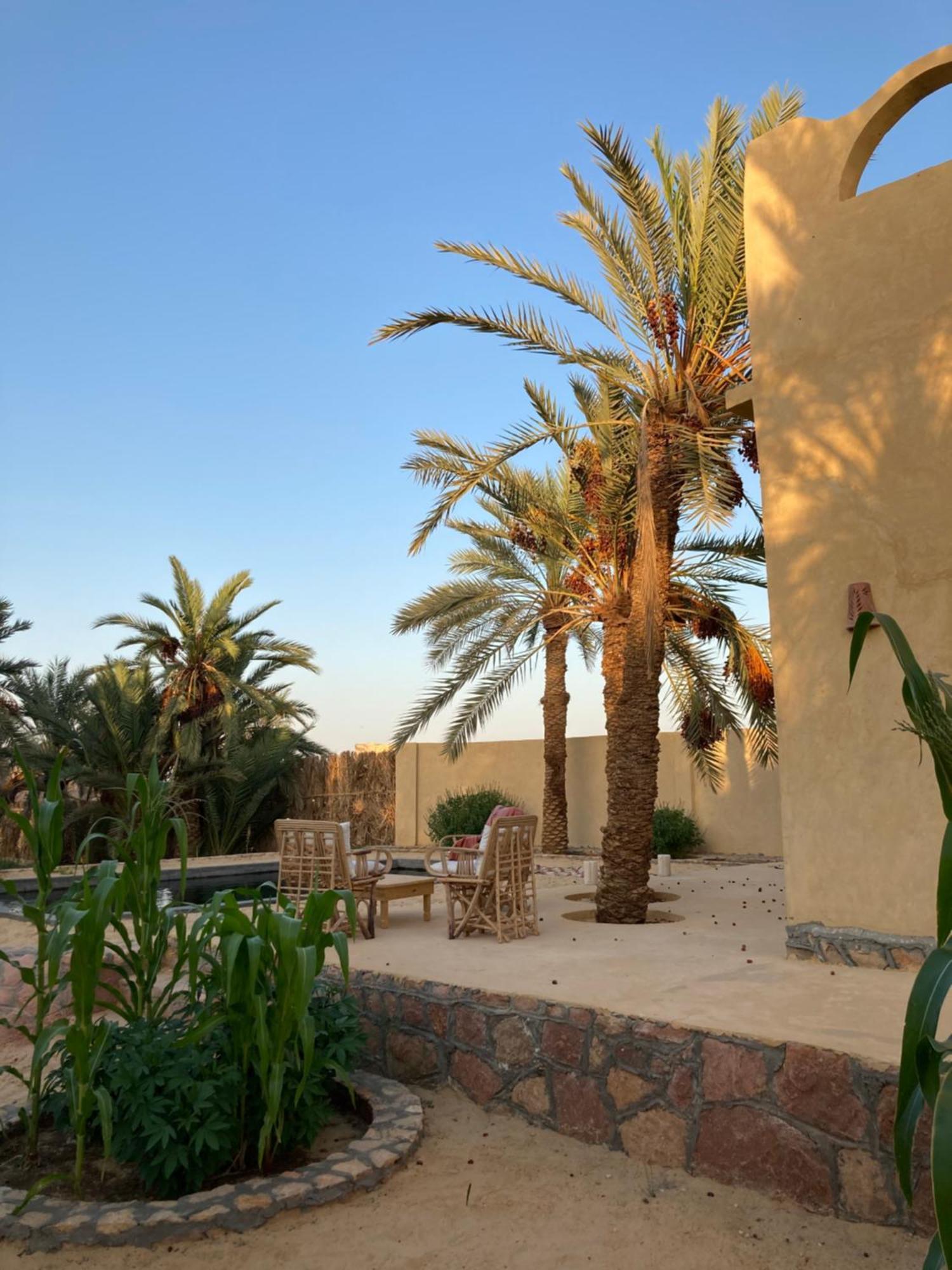 Wafla Villa Siwa Oasis Exterior photo