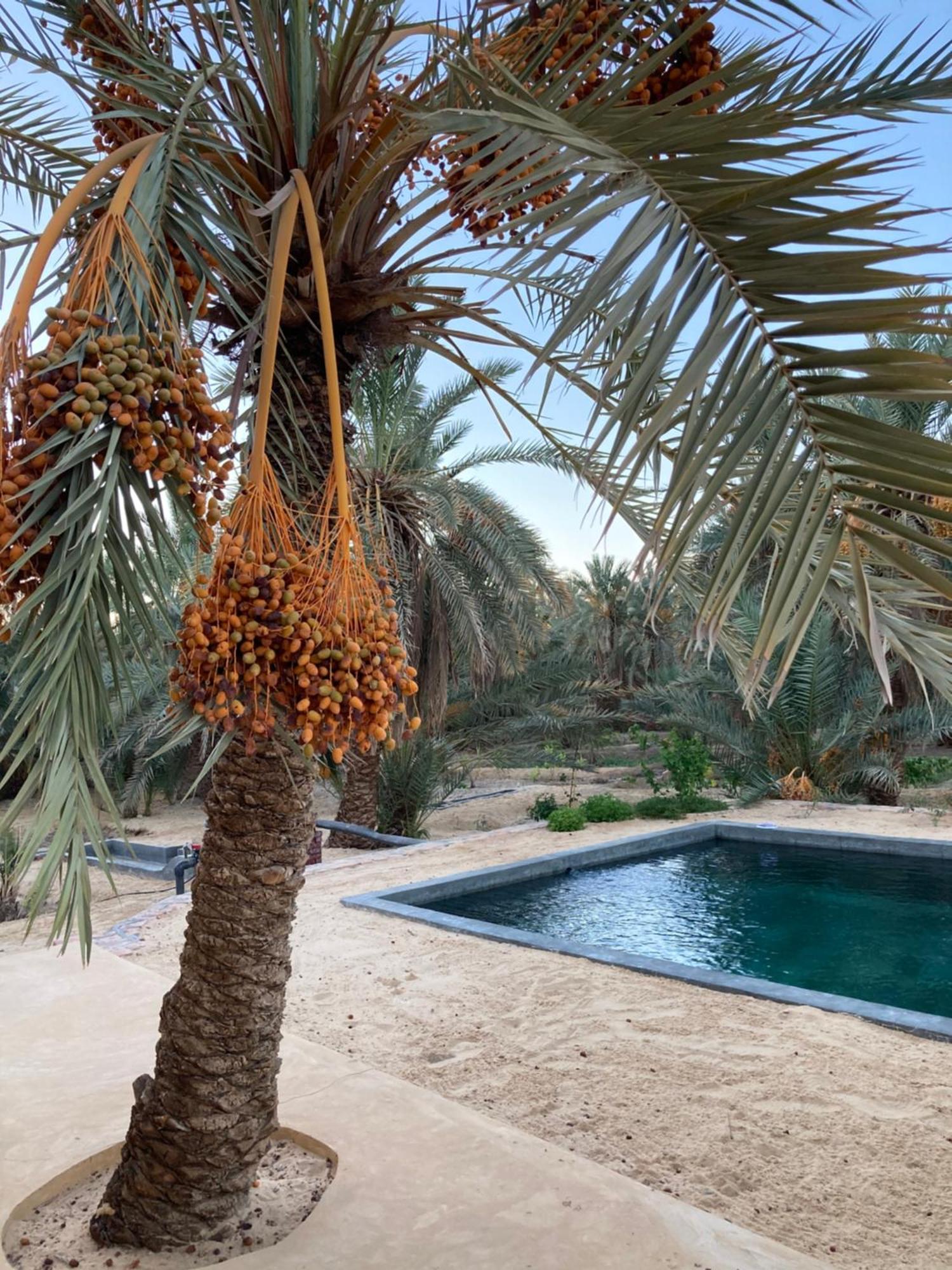 Wafla Villa Siwa Oasis Exterior photo